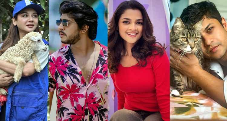 star 20251204065729 - Bd Sylhet News