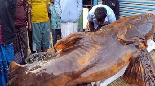 1769269019 0eab540e8a20e2ef650d7f46ff97fcb7 - Bd Sylhet News