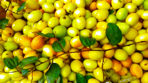 714d31564dd308a0df73c585ac08ade6400ac413e7d8f25a - Bd Sylhet News