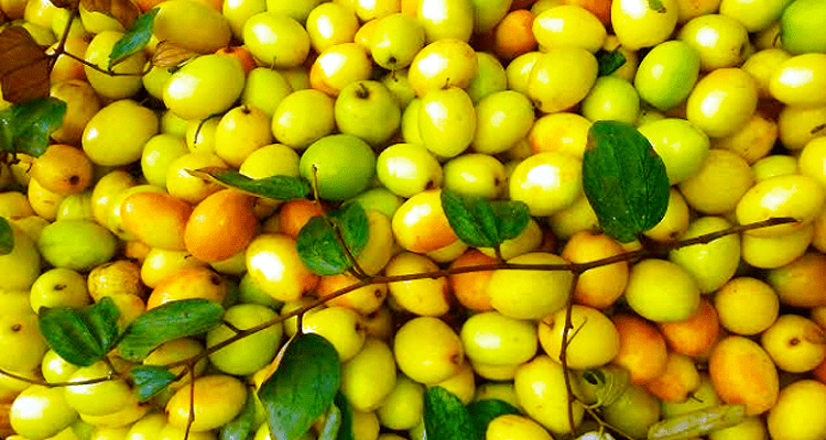 714d31564dd308a0df73c585ac08ade6400ac413e7d8f25a - Bd Sylhet News