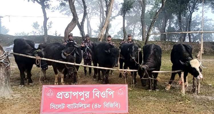 Untitled 1 copy 1 - Bd Sylhet News