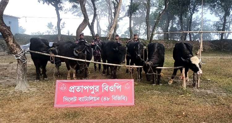 Untitled 12 copy 1 - Bd Sylhet News
