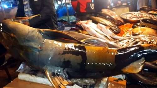 Untitled 3 copy 4 - Bd Sylhet News