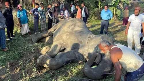 Untitled 9 copy 3 - Bd Sylhet News