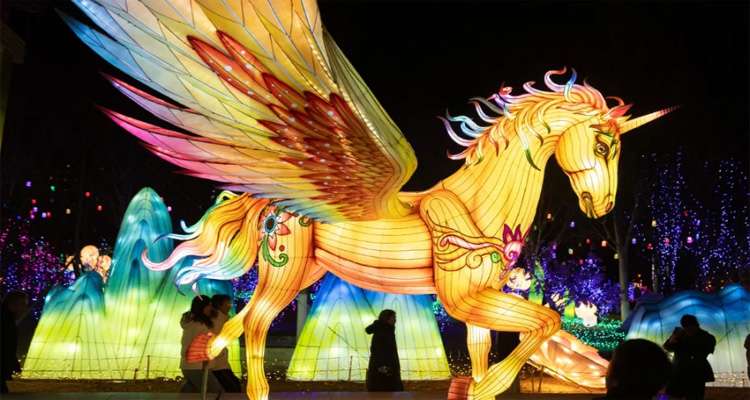 Untitled 17 copy - Bd Sylhet News