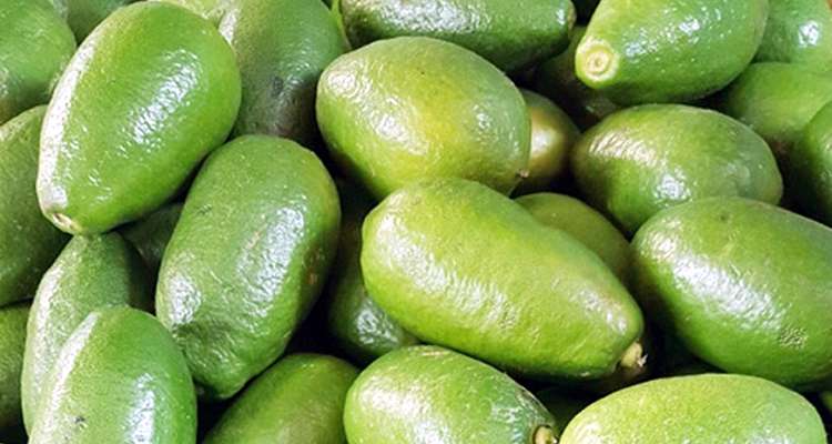 bc0ca5686984dbc6ad2ad79262ab0862d6cc72e0822aafdf - Bd Sylhet News