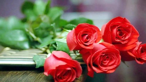 db51a622535cda8b3ee8908b0016f1f44490e40c3941ce37 - Bd Sylhet News