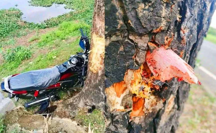 FB IMG 1774203275370 - Bd Sylhet News