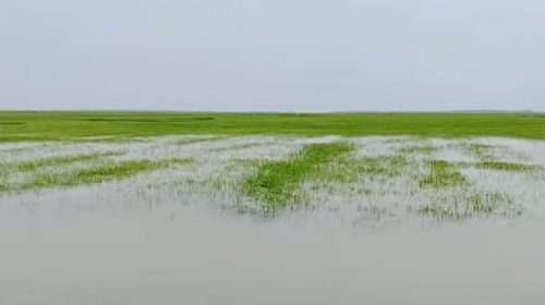 Untitled 13 copy 2 - Bd Sylhet News