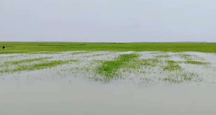 Untitled 13 copy 2 - Bd Sylhet News