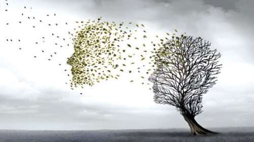 1777143834 b957f38a1b60a56c11726e364f3582fc - Bd Sylhet News