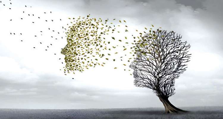 1777143834 b957f38a1b60a56c11726e364f3582fc - Bd Sylhet News