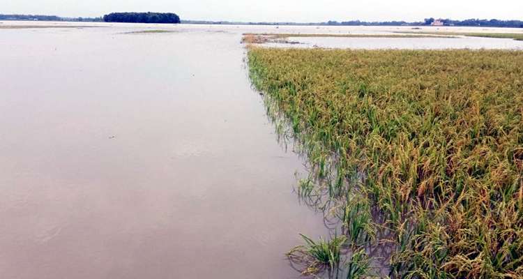 1777396907 196d22ffc58f1589f2be8819491db69e - Bd Sylhet News