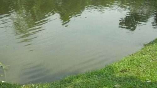 9a141a217159b5ae6fcef55f314717ec - Bd Sylhet News