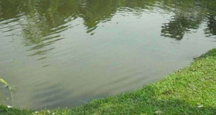 9a141a217159b5ae6fcef55f314717ec - Bd Sylhet News