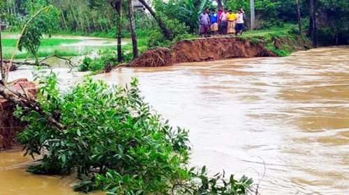 cropped 1777450437 17tu8mzl 1777451157 - Bd Sylhet News