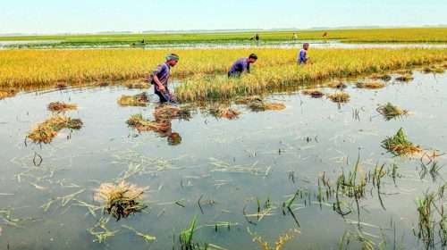 pk dhn pnt - Bd Sylhet News