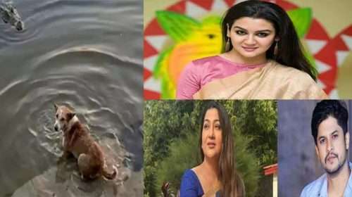 qw4 - Bd Sylhet News