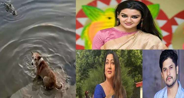 qw4 - Bd Sylhet News