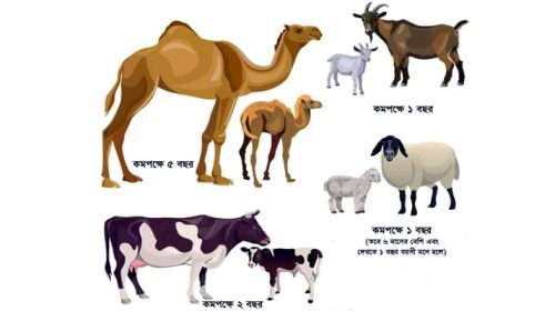 Untitled 1 copy 1 - Bd Sylhet News