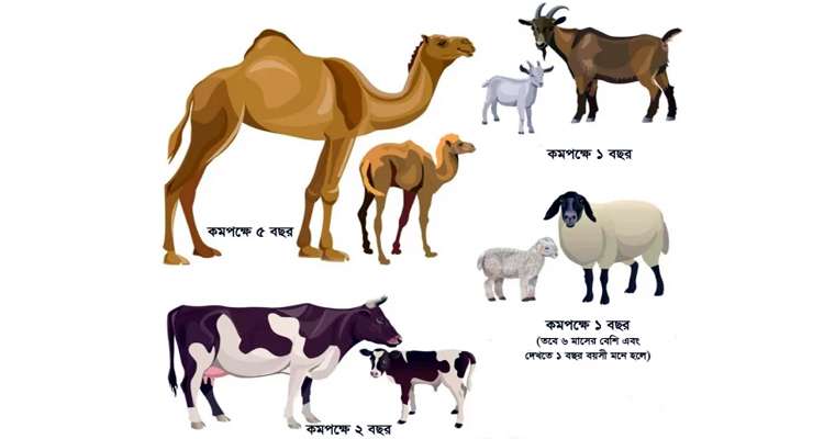 Untitled 1 copy 1 - Bd Sylhet News