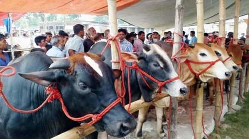 d05354c77295bbd3665c7180c55c4762 - Bd Sylhet News