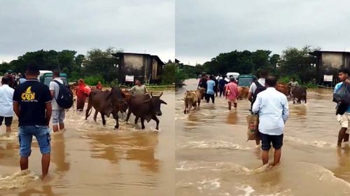 NewsLabAsiaPost0c62659f ebac 4945 b3fc efab96b661dc - Bd Sylhet News