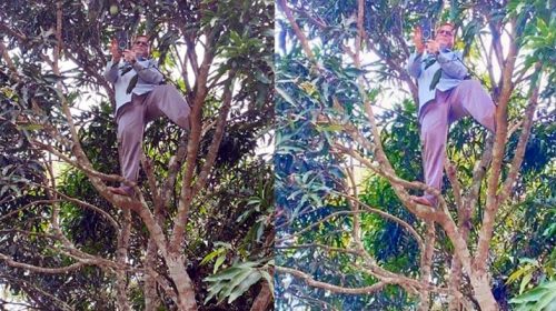Tree 2606160656 - Bd Sylhet News