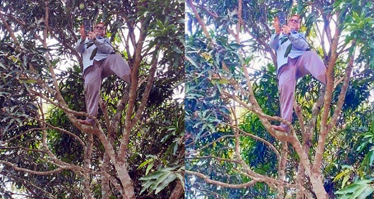 Tree 2606160656 - Bd Sylhet News