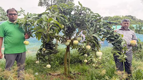 Untitled 2 copy 3 - Bd Sylhet News