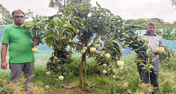Untitled 2 copy 3 - Bd Sylhet News