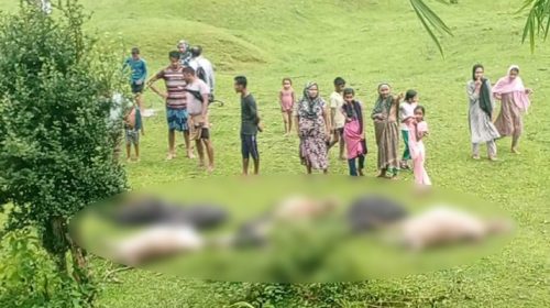 e3e7fca0b1a40de64d33ce1abb34ba31e475e8609bca70c2 - Bd Sylhet News