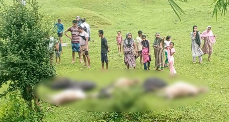 e3e7fca0b1a40de64d33ce1abb34ba31e475e8609bca70c2 - Bd Sylhet News