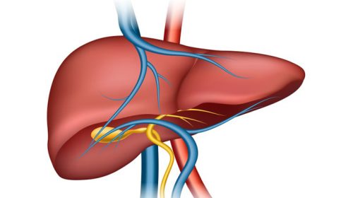 fatty liver - Bd Sylhet News