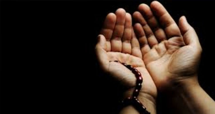 salo 1643938519 - Bd Sylhet News