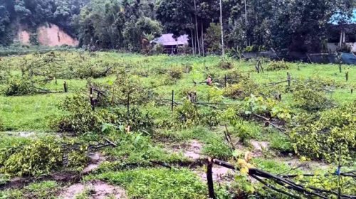 cropped 1784898572 ommefjdq 1784898872 - Bd Sylhet News