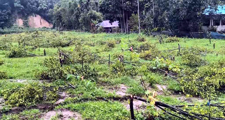 cropped 1784898572 ommefjdq 1784898872 - Bd Sylhet News