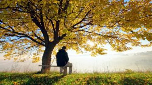 man under tree 390x220 1 - Bd Sylhet News