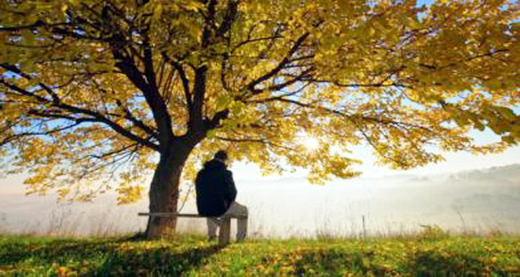 man under tree 390x220 1 - Bd Sylhet News