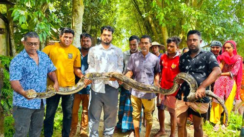 1788085880 1c7e89c3694f352a9c98241cec343367 - Bd Sylhet News
