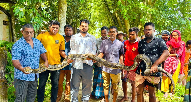 1788085880 1c7e89c3694f352a9c98241cec343367 - Bd Sylhet News