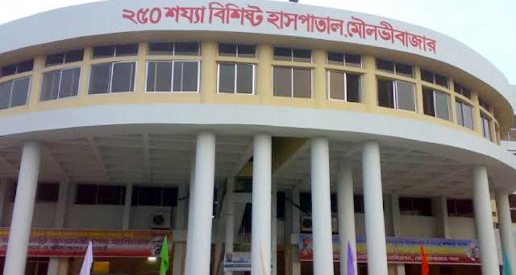250 - Bd Sylhet News