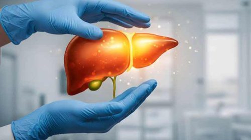 fatty liver 1788686189 - Bd Sylhet News