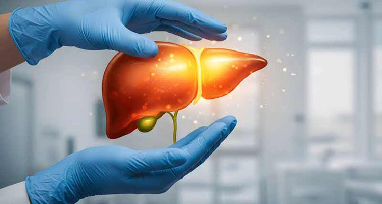 fatty liver 1788686189 - Bd Sylhet News