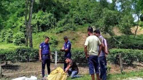 jjd 120.1789038479 - Bd Sylhet News