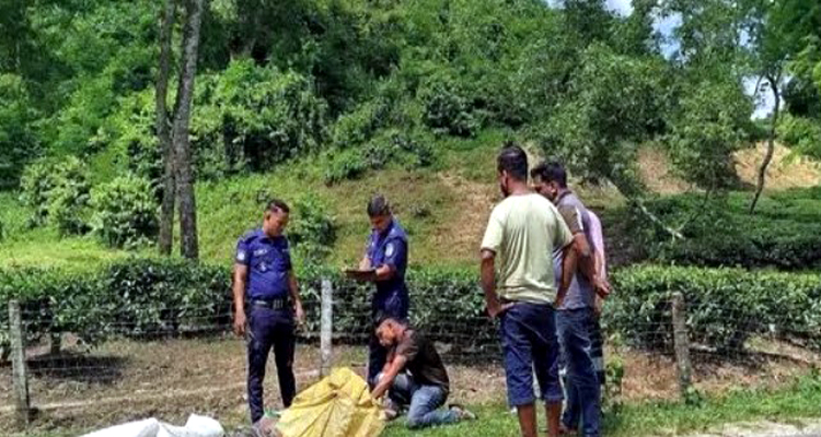 jjd 120.1789038479 - Bd Sylhet News