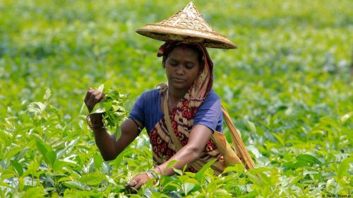 post img 1779343802755 511292941 - Bd Sylhet News