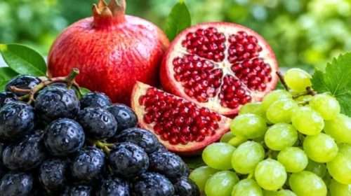 apple - Bd Sylhet News