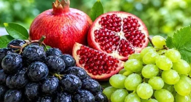 apple - Bd Sylhet News