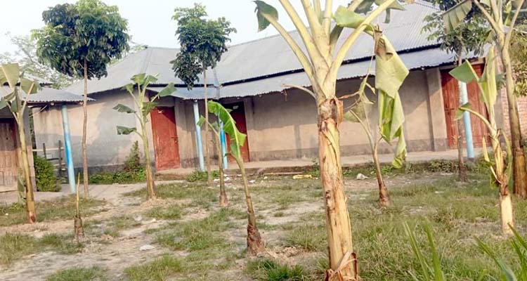 rajshahi 3 1791089483 - Bd Sylhet News